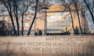 В Минприроды России прошло заседание Совета по международному сотрудничеству в области геологии и недропользования 