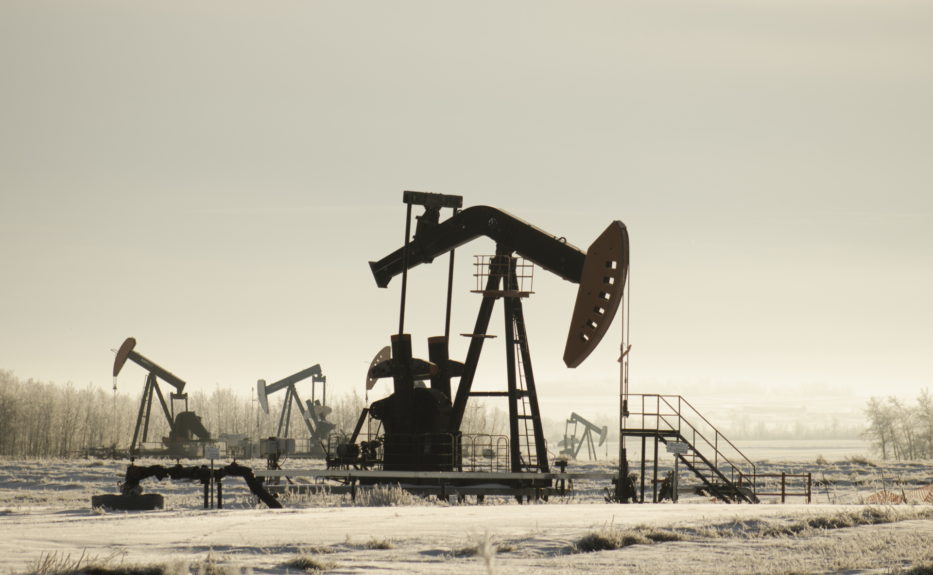 Плюс 39 новых месторождений углеводородов за 2024 год: всё о запасах газа и нефти в России