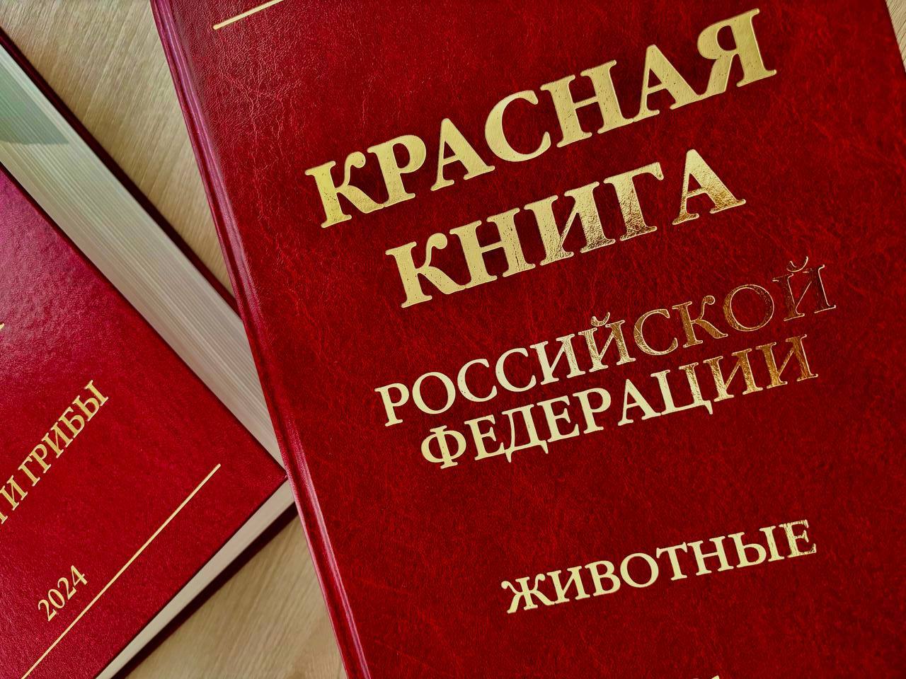По следам краснокнижных: животные и растения Красной книги 